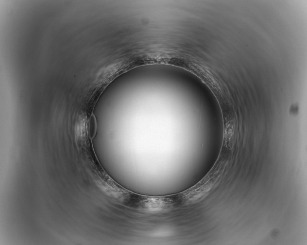 X0000099440623200805161135