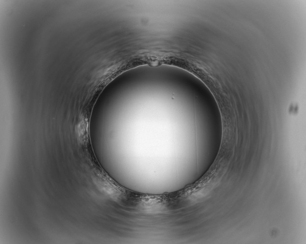 X0000099440624200805161135