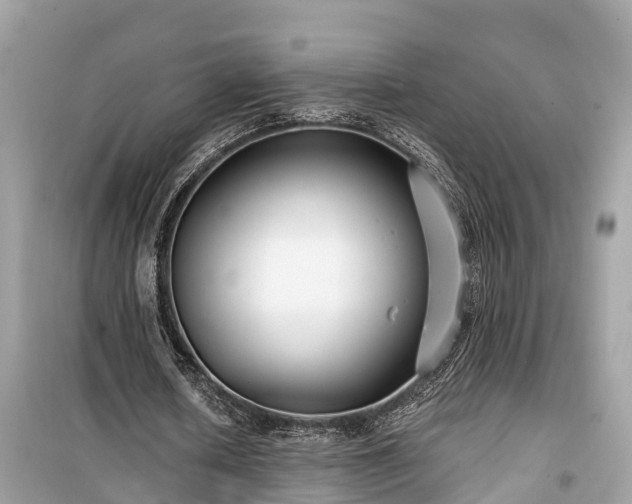 X0000099440626200805161134