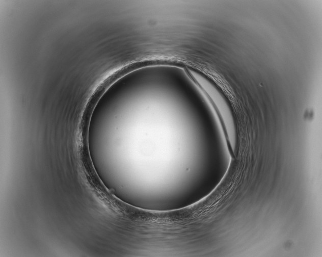 X0000099440628200805161134