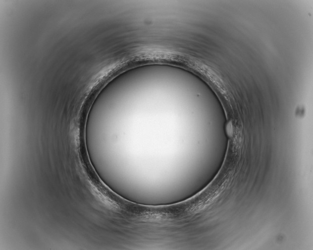X0000099440629200805161134