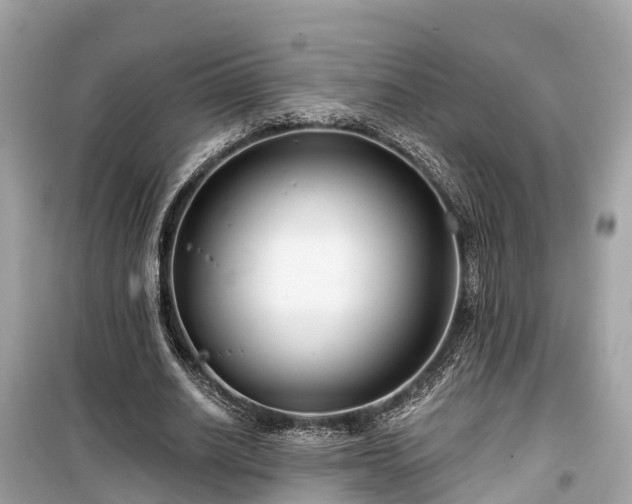 X0000099440630200805161134