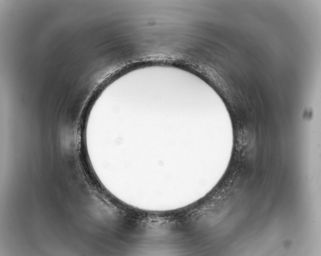 X0000099440632200805161134