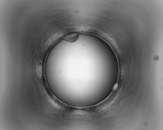 X0000099440633200805161134