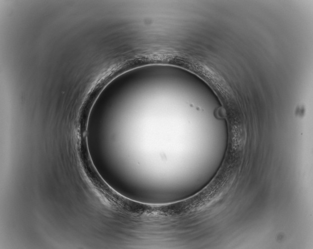 X0000099440634200805161135