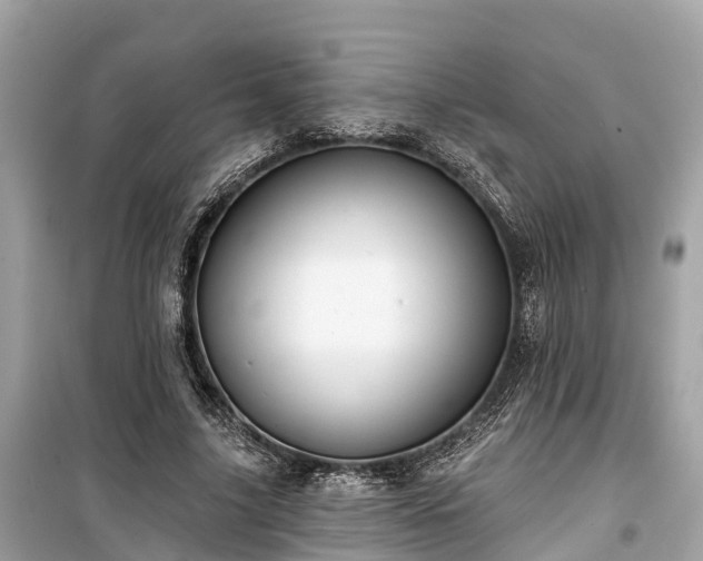 X0000099440635200805161135