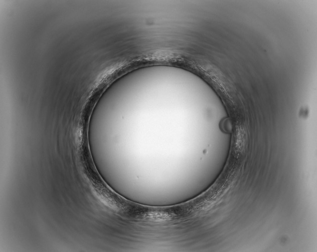 X0000099440636200805161135