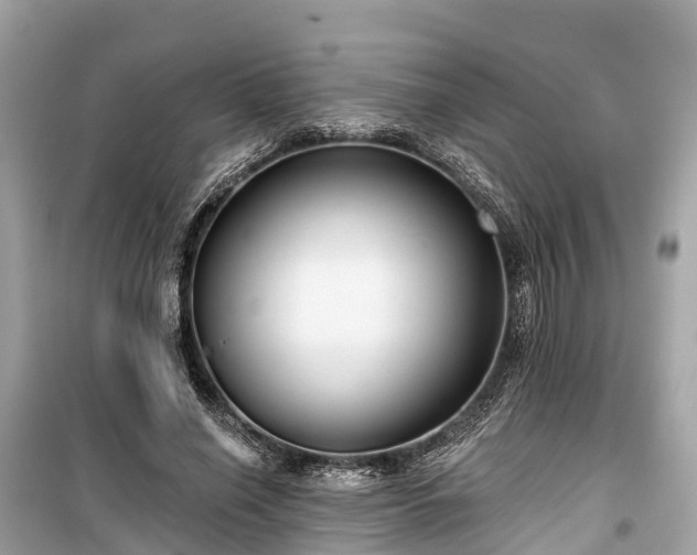 X0000099440638200805161135