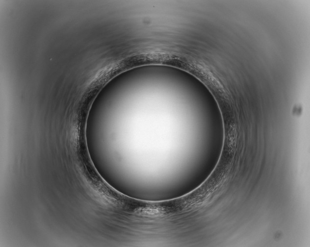 X0000099440639200805161135