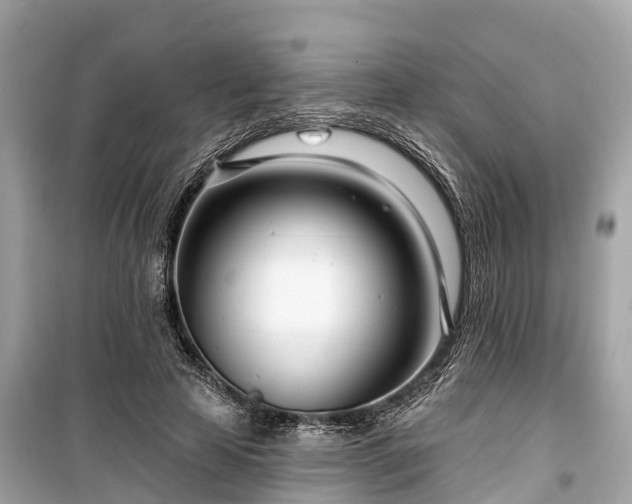 X0000099440641200805161135