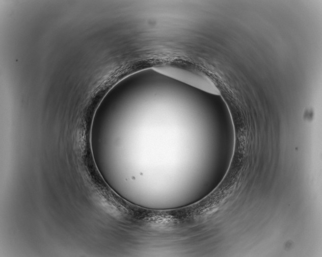 X0000099440642200805161135