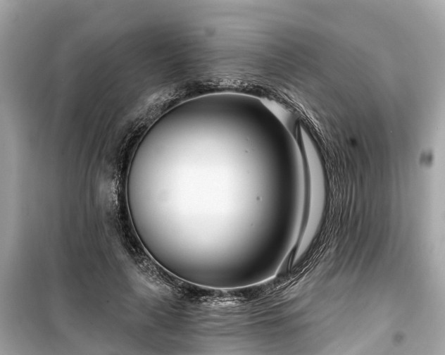 X0000099440643200805161135