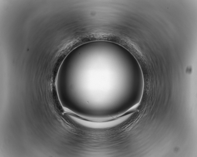 X0000099440644200805161135