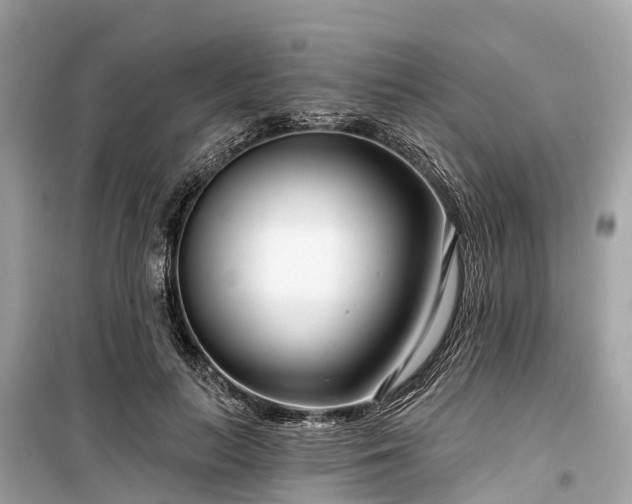 X0000099440647200805161135