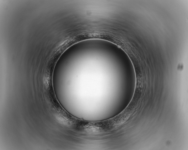 X0000099440648200805161135