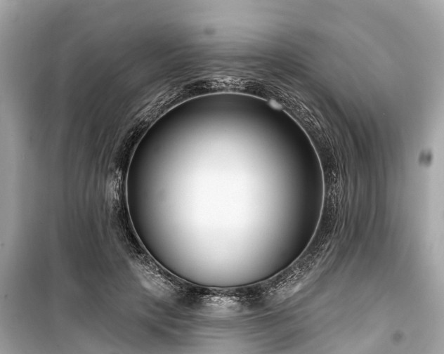X0000099440649200805161135