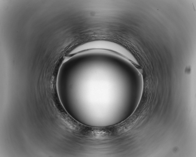 X0000099440650200805161135
