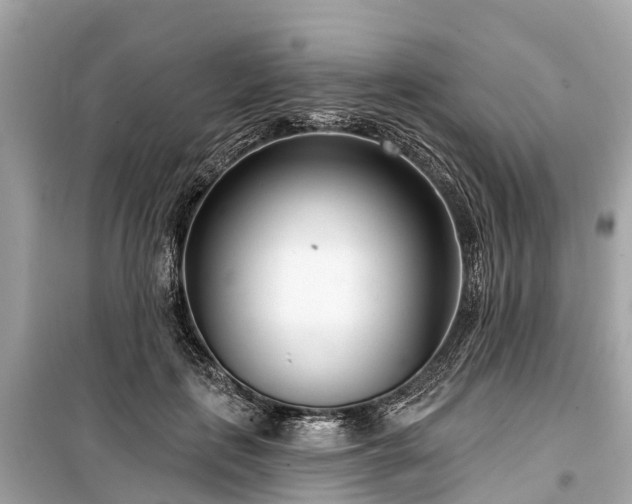 X0000099440651200805161135