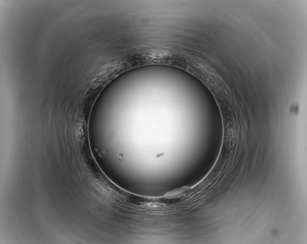 X0000099440654200805161135