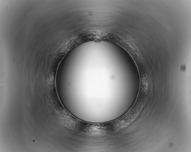 X0000099440657200805161135