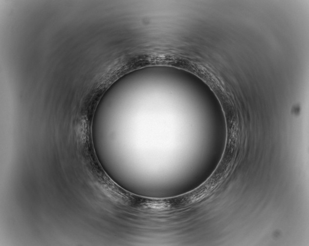 X0000099440659200805161135