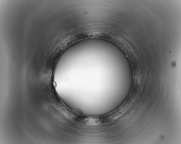 X0000099440660200805161135