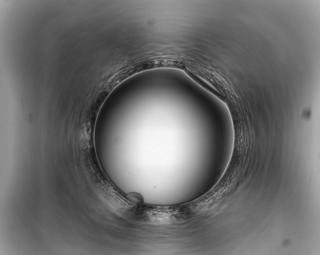 X0000099440661200805161135
