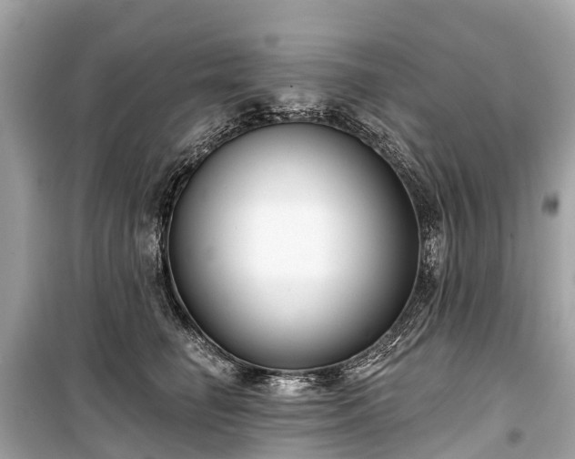 X0000099440662200805161135