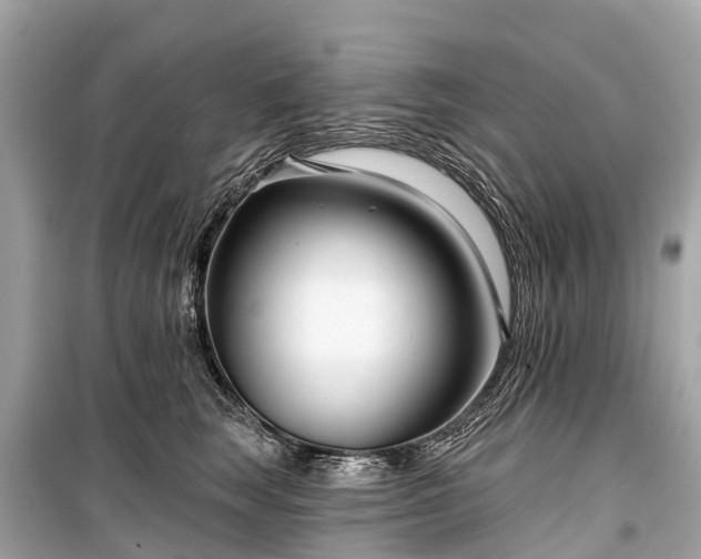 X0000099440663200805161135