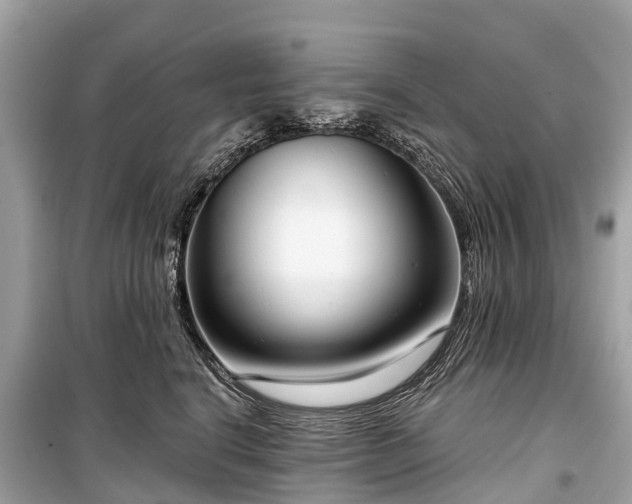 X0000099440664200805161135