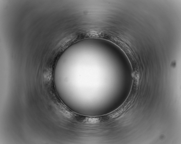 X0000099440665200805161135