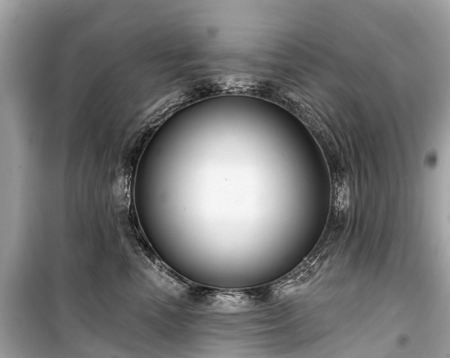 X0000099440666200805161135