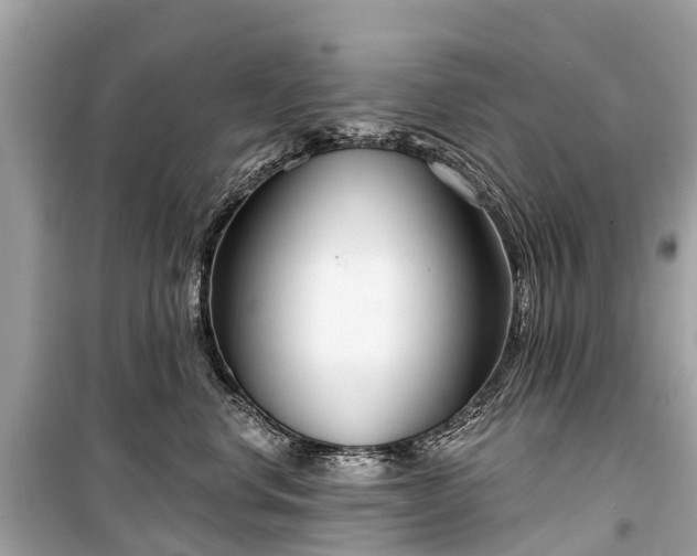 X0000099440668200805161135