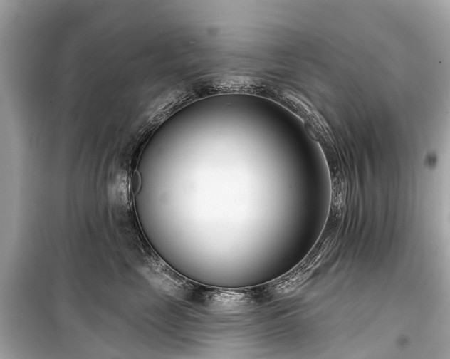 X0000099440669200805161135