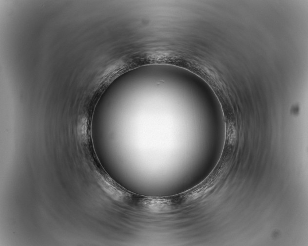 X0000099440670200805161135
