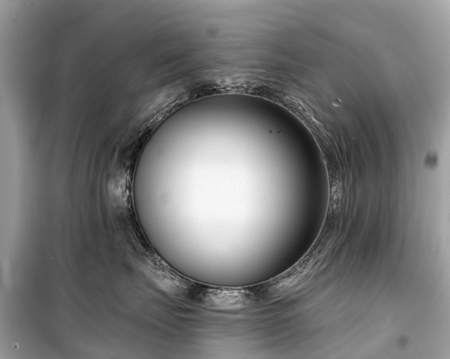 X0000099440671200805161135