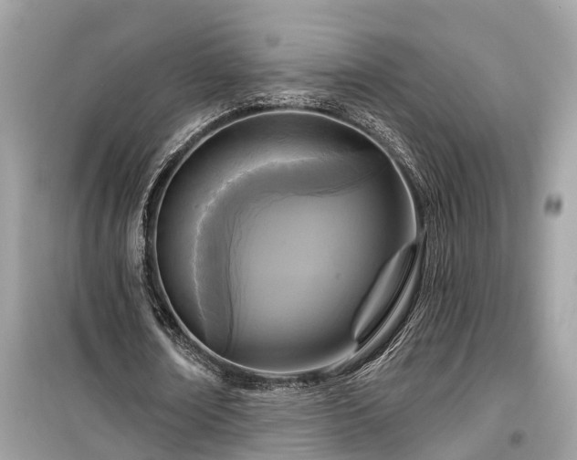X0000099440674200805161134