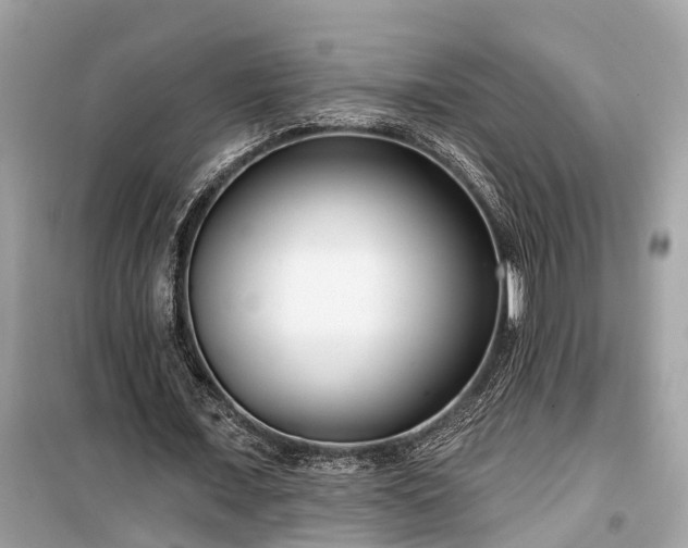 X0000099440675200805161134