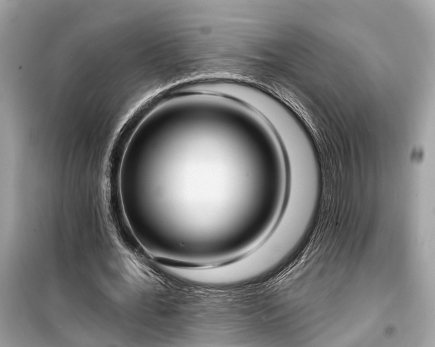 X0000099440676200805161134