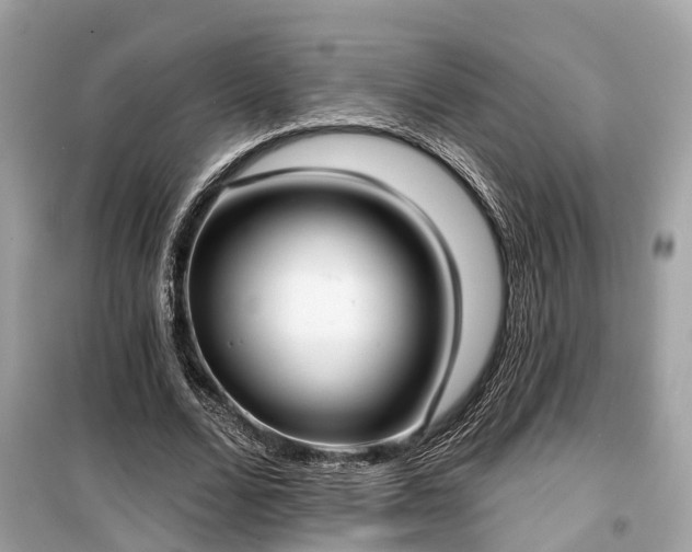 X0000099440680200805161134