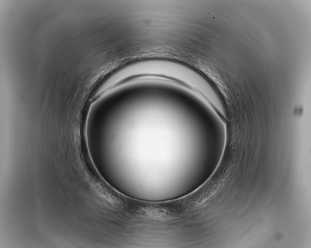 X0000099440681200805161134