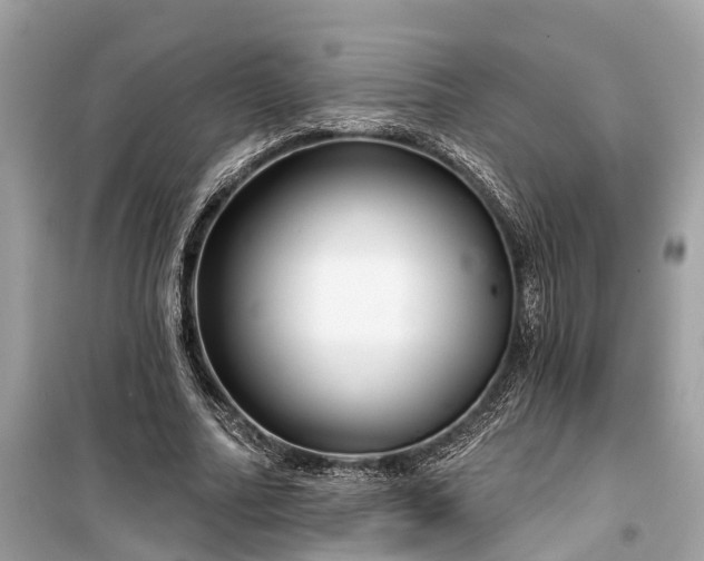 X0000099440682200805161134