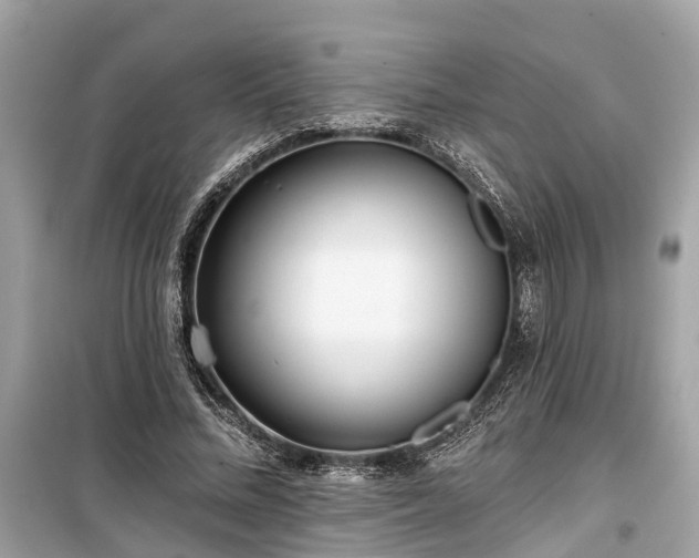 X0000099440684200805161134