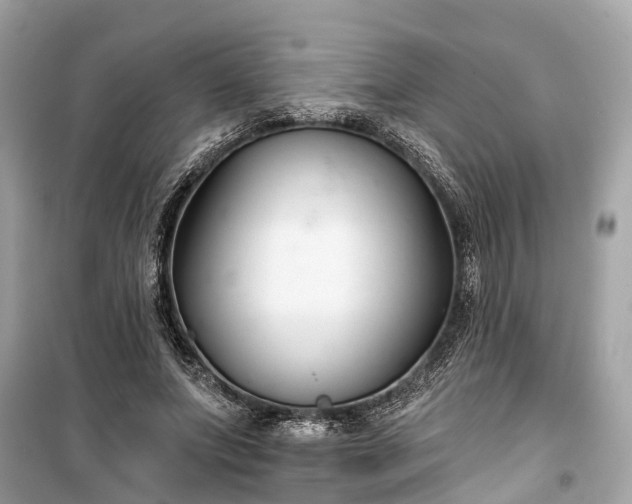 X0000099440687200805161134