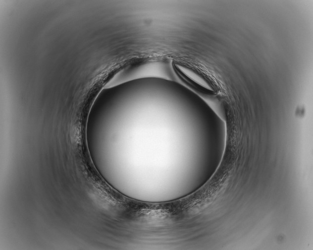 X0000099440689200805161134