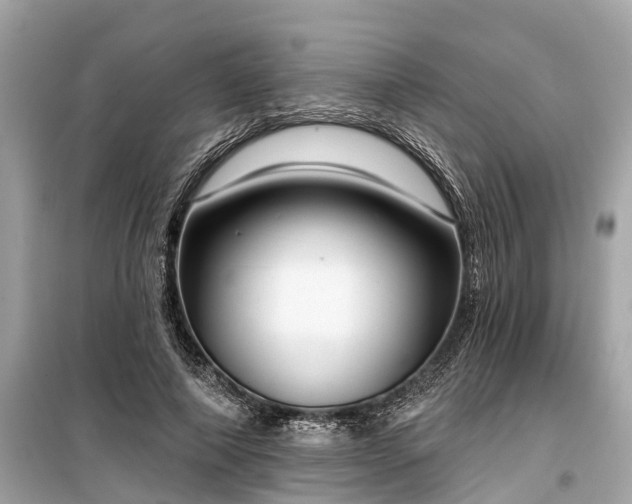 X0000099440690200805161134