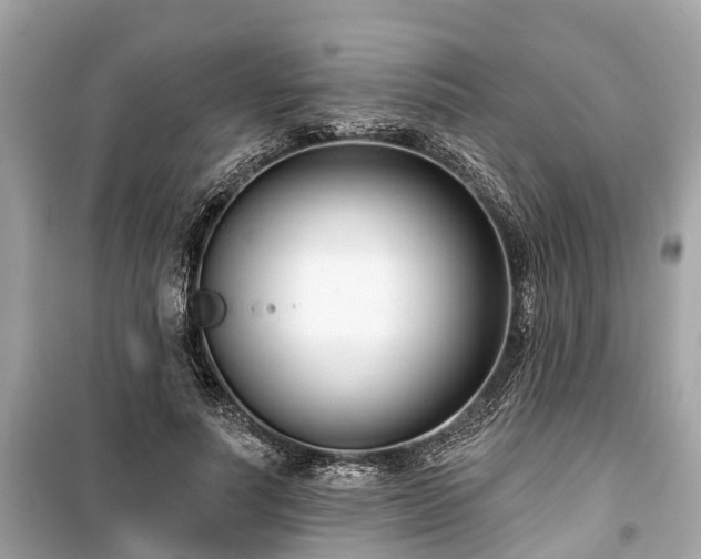 X0000099440691200805161134