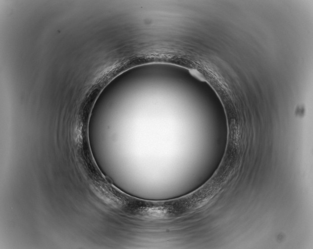 X0000099440692200805161134