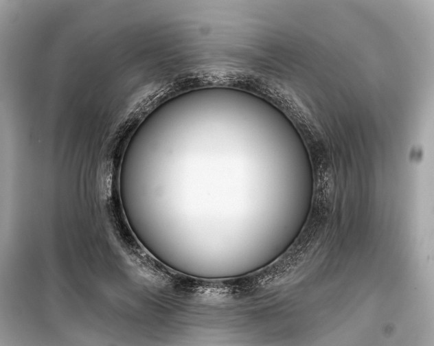 X0000099440694200805161134