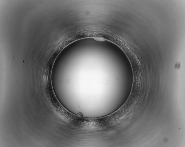 X0000099440695200805161134